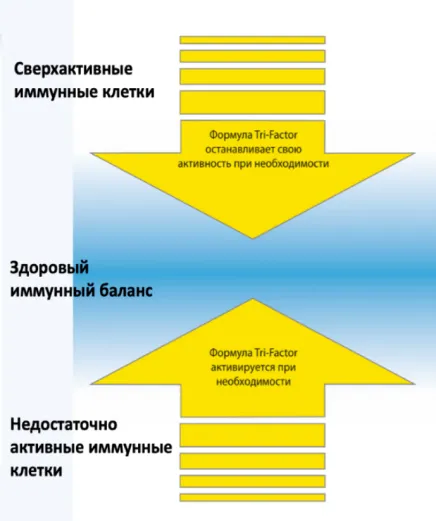 схема